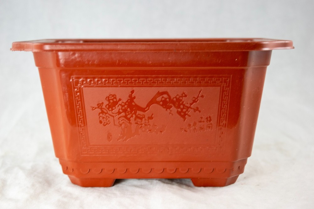 Rectangular Plastic Cactus & Succulent, Bonsai Training Tall Pot 7.25" to 17.5"