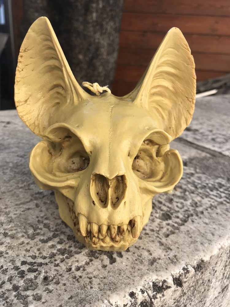 The Silicone Mold “The Cat Skull”
