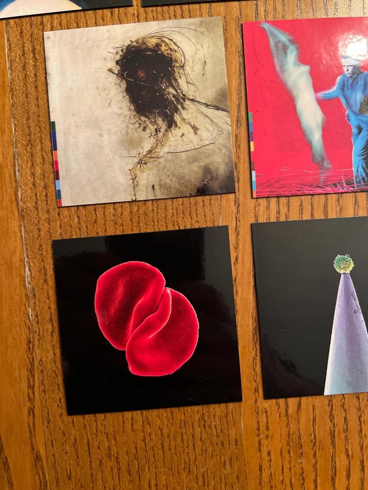 Peter Gabriel fridge magnets