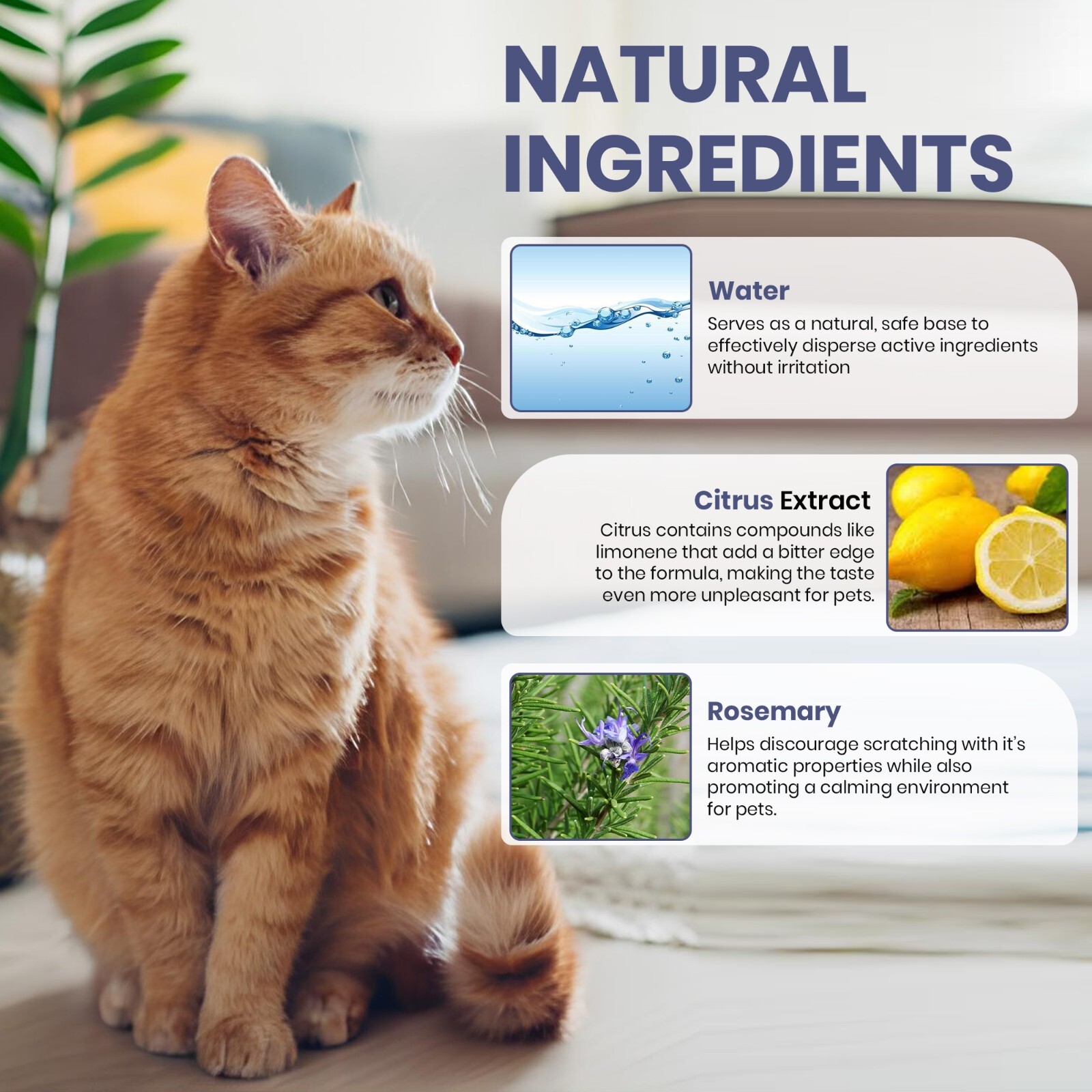 2 Pack - Deterrent/Repellent Spray for Cats 50ml–Stop Scratching, Biting,Marking