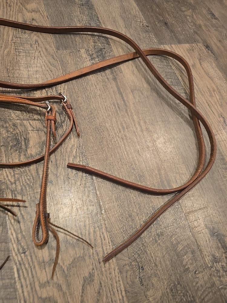 western bridle and reins