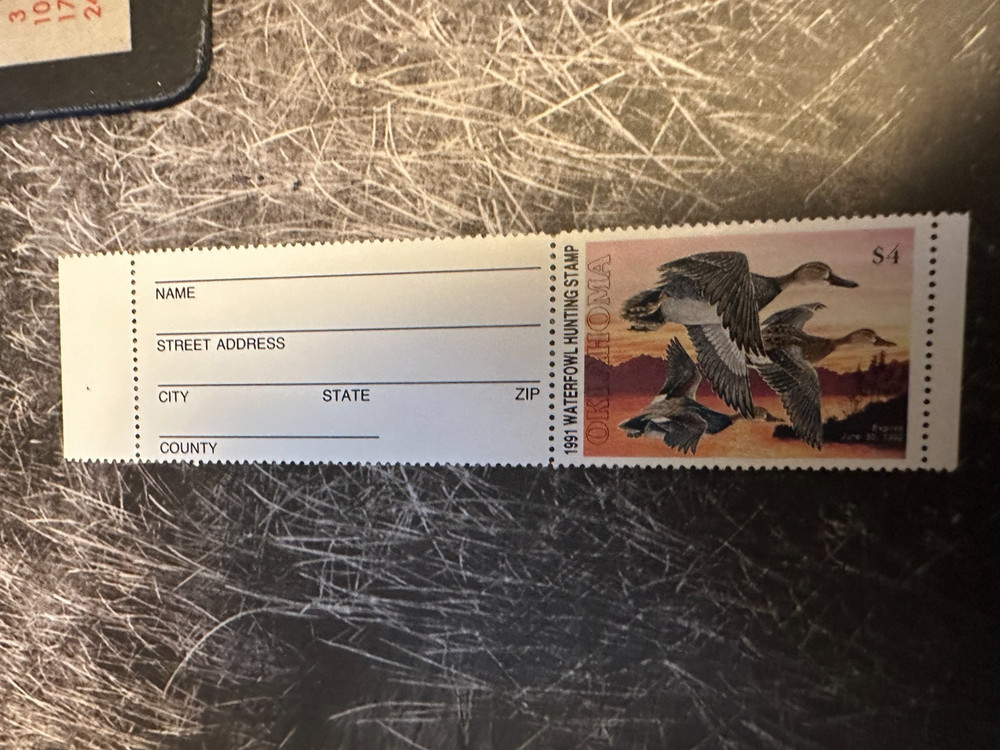 1991 Oklahoma State Duck Stamp, Hunter