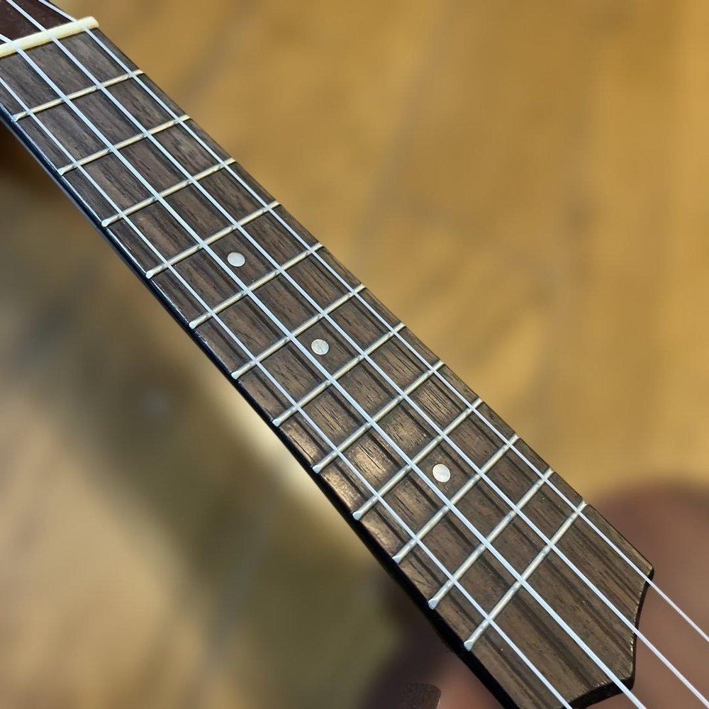 ARIA soprano ukulele with case