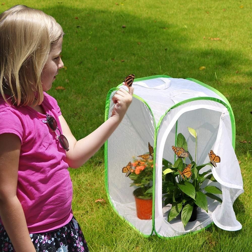 Collapsible Butterfly Enclosure with Easy Clean Polyester Bottom – 15.7”