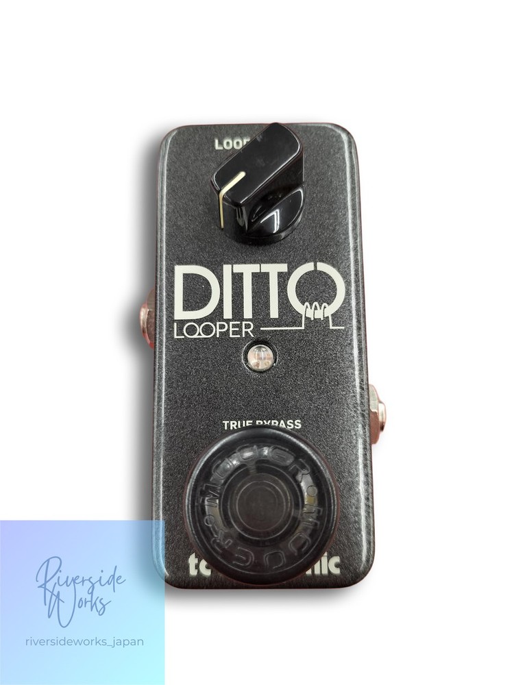 TC Electronic Ditto Looper Effects Pedal Compact Looping JP