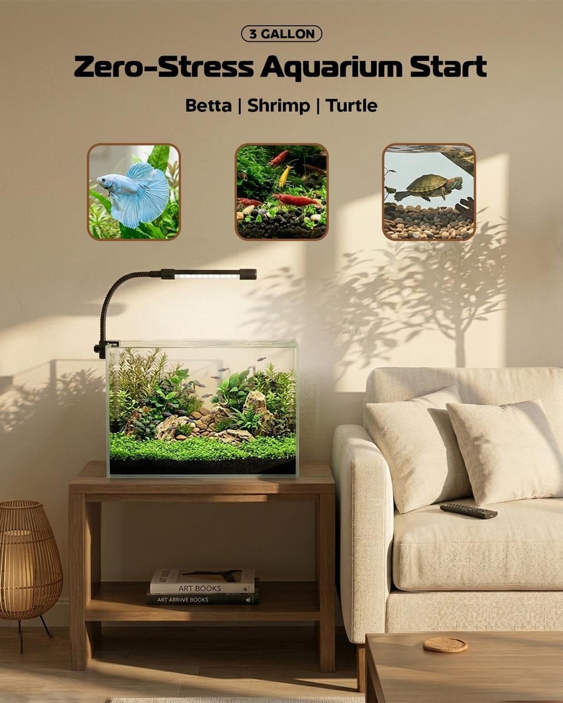 Beginner-Friendly 3 Gallon Aquarium with Lighting & Filtration - Compact & Clear