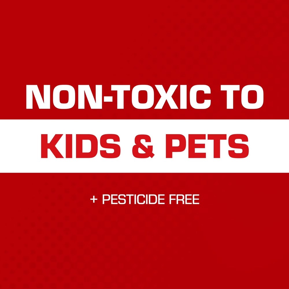 Tomcat Super Hold Glue Traps Mouse Size