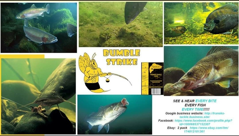 "Bumble Strike" All In One Fish Bite Indicator Pack 4 See & Hear Every Bite !!