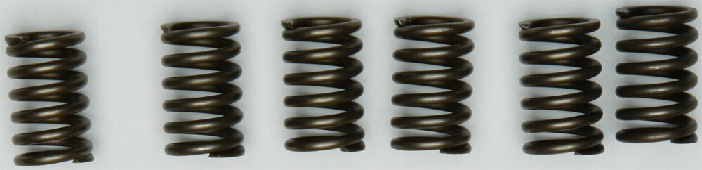 EBC CSK131 Clutch Springs CSK131