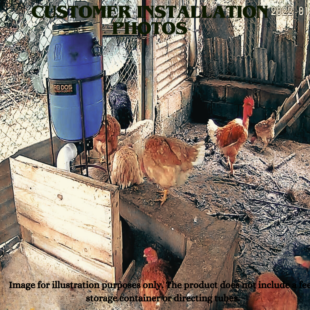 Automatic Feeder for Ducks and Geese, Food Dispenser with Timer