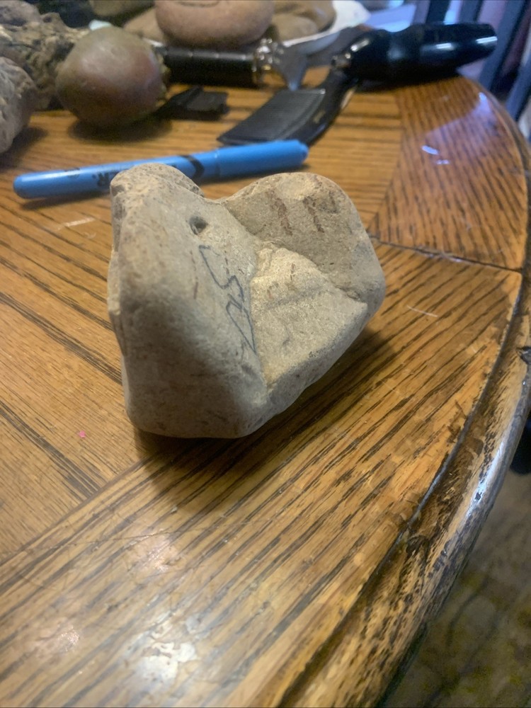 Fossils