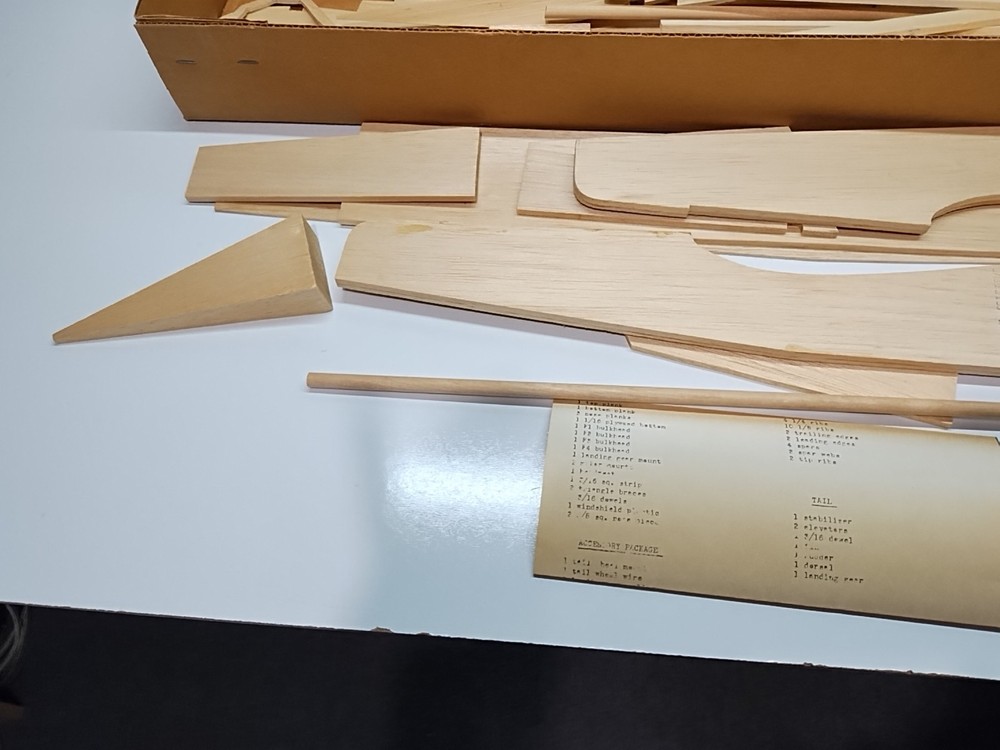 DAVE ROBELEN S PRONTO MODEL PLANE