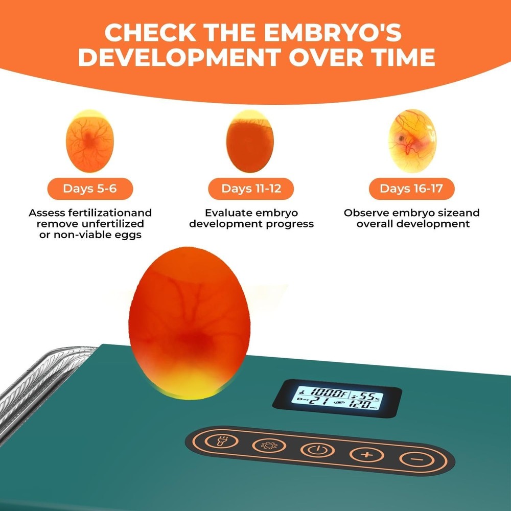 Automatic Egg Incubator for Hatching with Automatic Turning and Humidity- 25Eggs