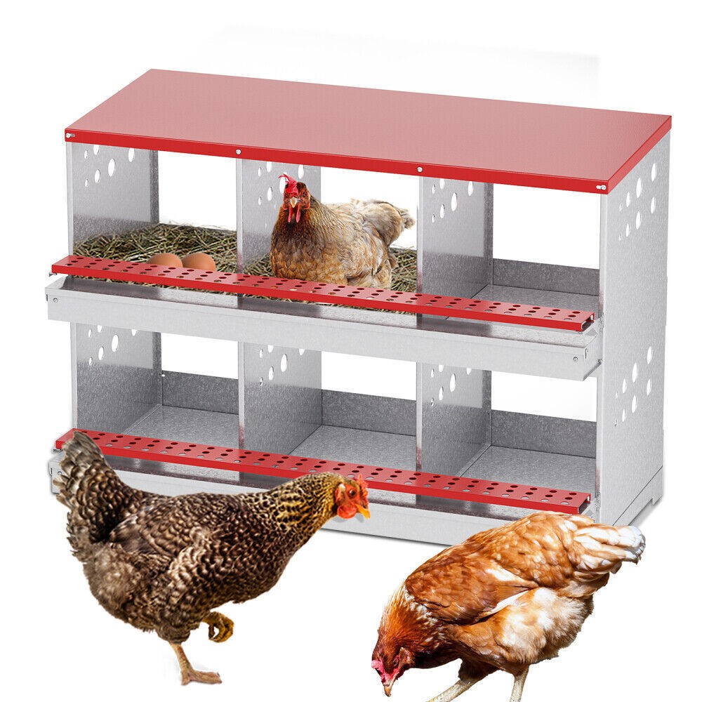 New 6Hole Chicken Nesting Boxes Metal Egg Laying Brooding Box With Vent Hole Set