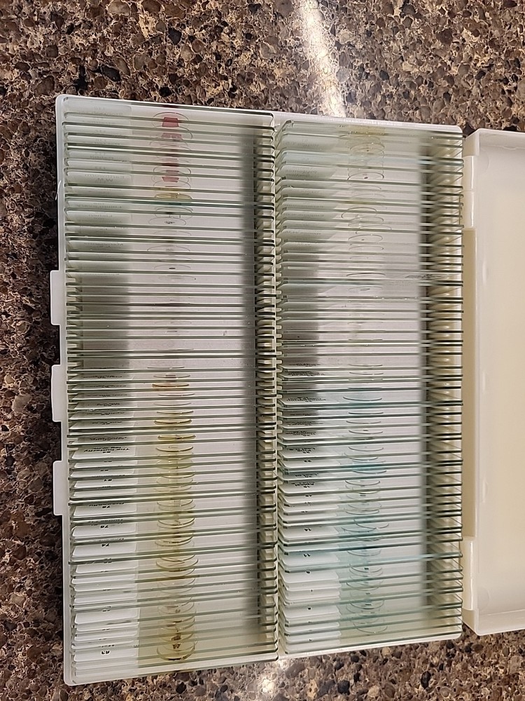 Biological Specimen 108 x Microscope Slides Laboratory Kit Educational READ