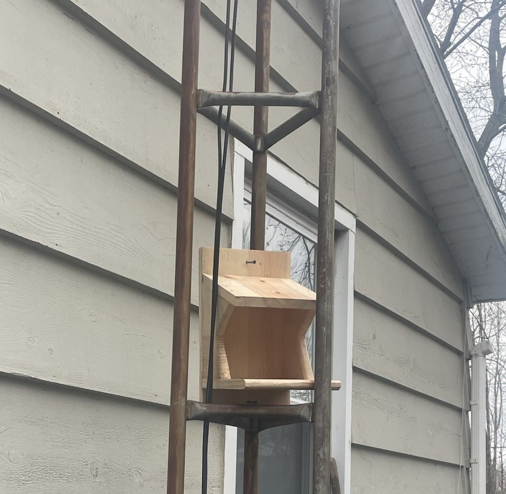 Pine Wood Robin Nesting Box~Dove Nesting Box~Cardinal Home~phoebe Nesting Box