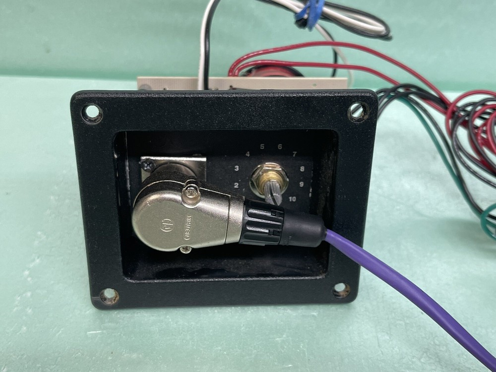 AVEX 2-way Speaker Crossover with Input Panel, Connector, and Wiring A