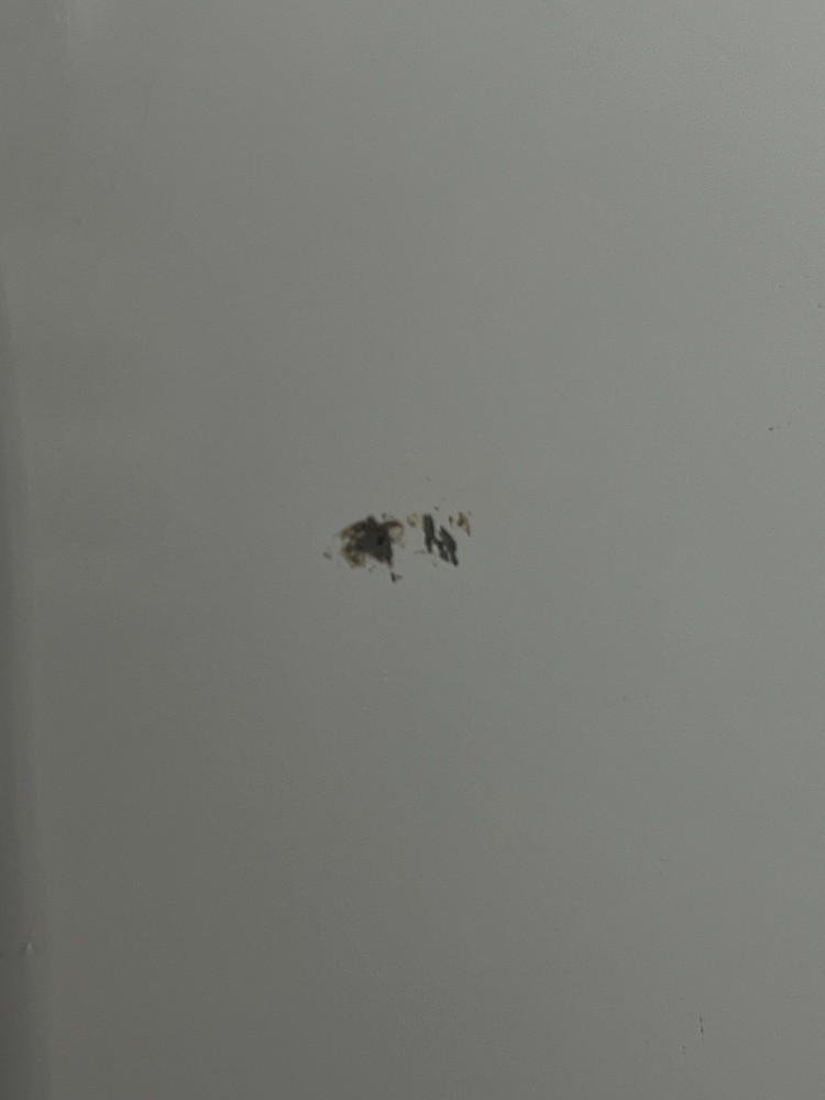 Toastmaster Platinum Bread Box Bread Maker Machine 2lb Loaf Model 1156S - Tested