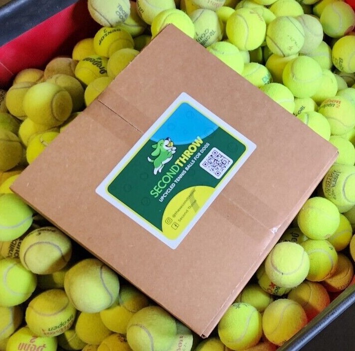 100 Used Tennis Balls - LOW COST DOG BALLS -  FREE SHIPPING