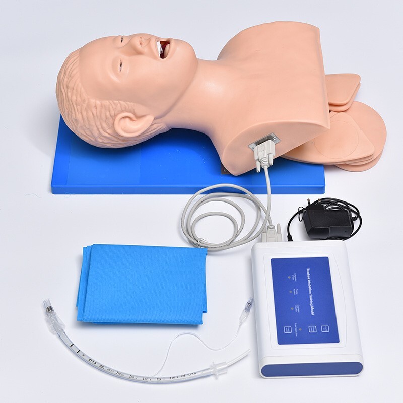 Intubation Manikin Study Teaching Model Airway Management Trainer PVC WithTeeth