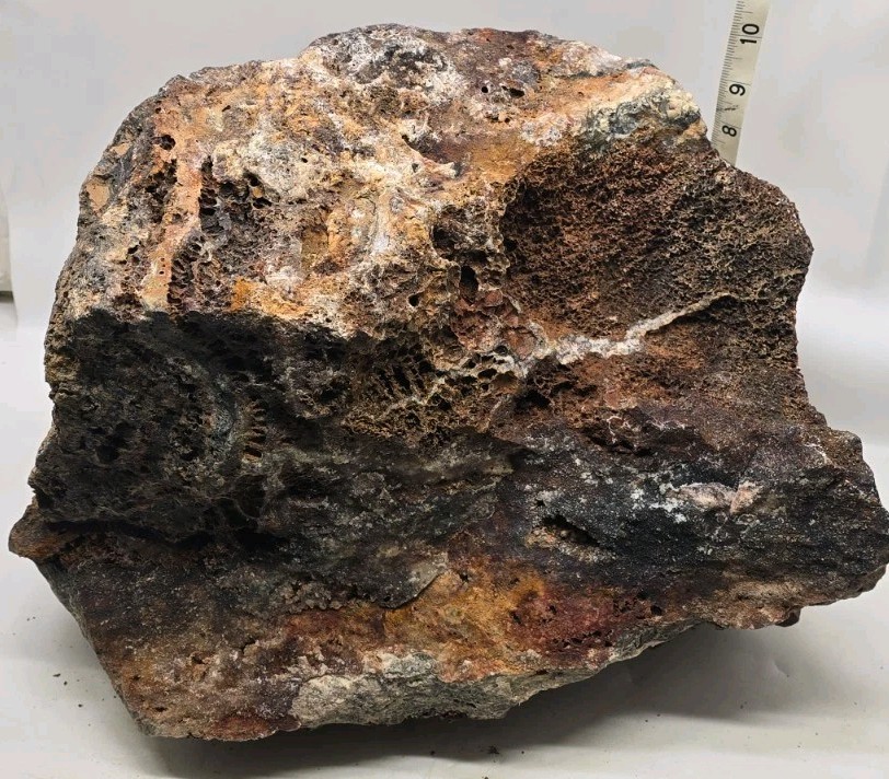 Large Heavy Raw Chunk Of Arizona Silver Copper Gold Ore Specimen 74.4 Lbs.