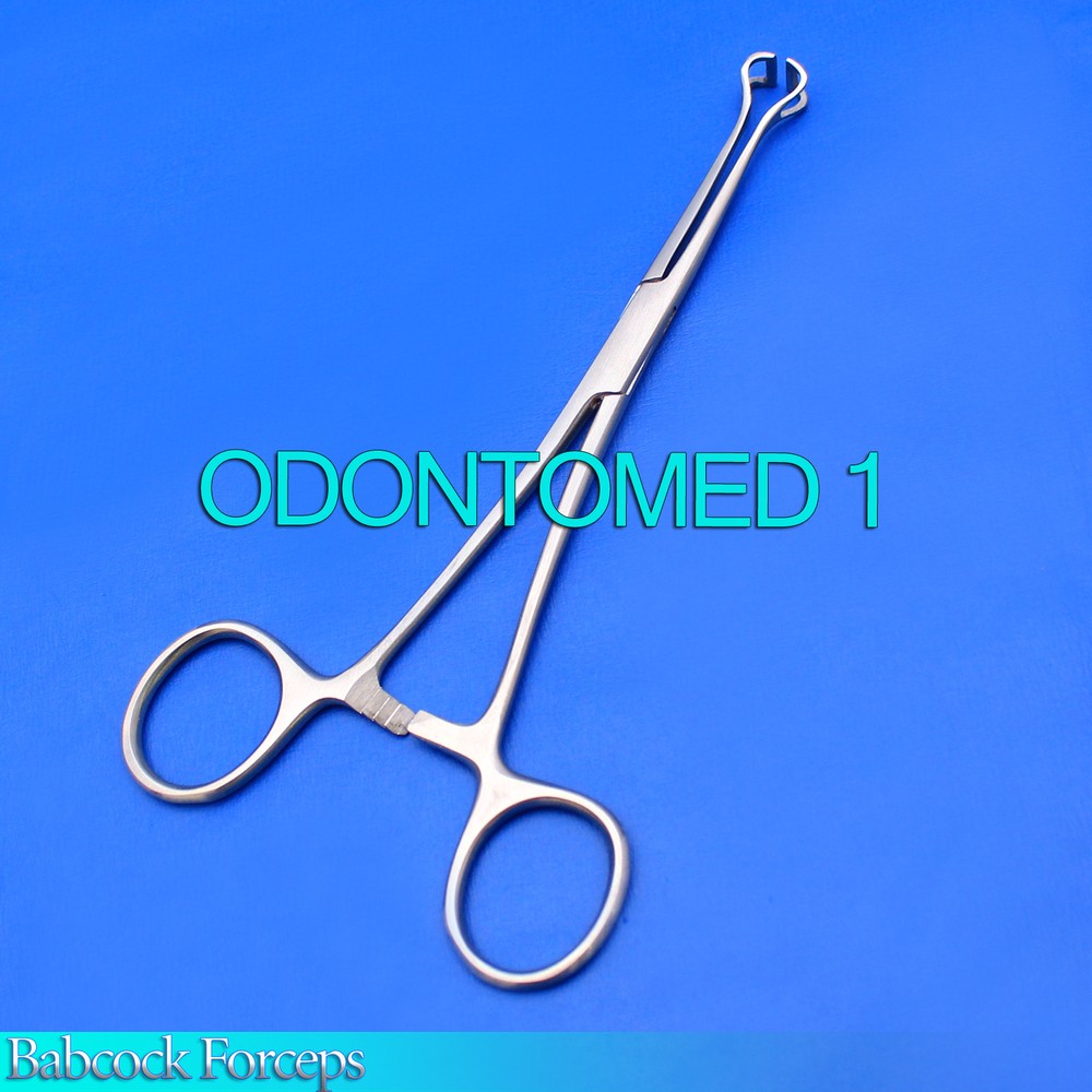 6 Babcock Forceps 6" Surgical Instruments