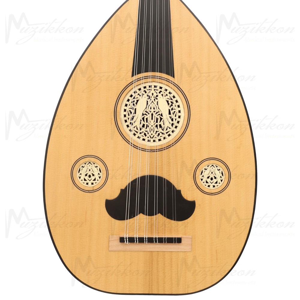 Heartland Arabic Oud 12 Strings Maple