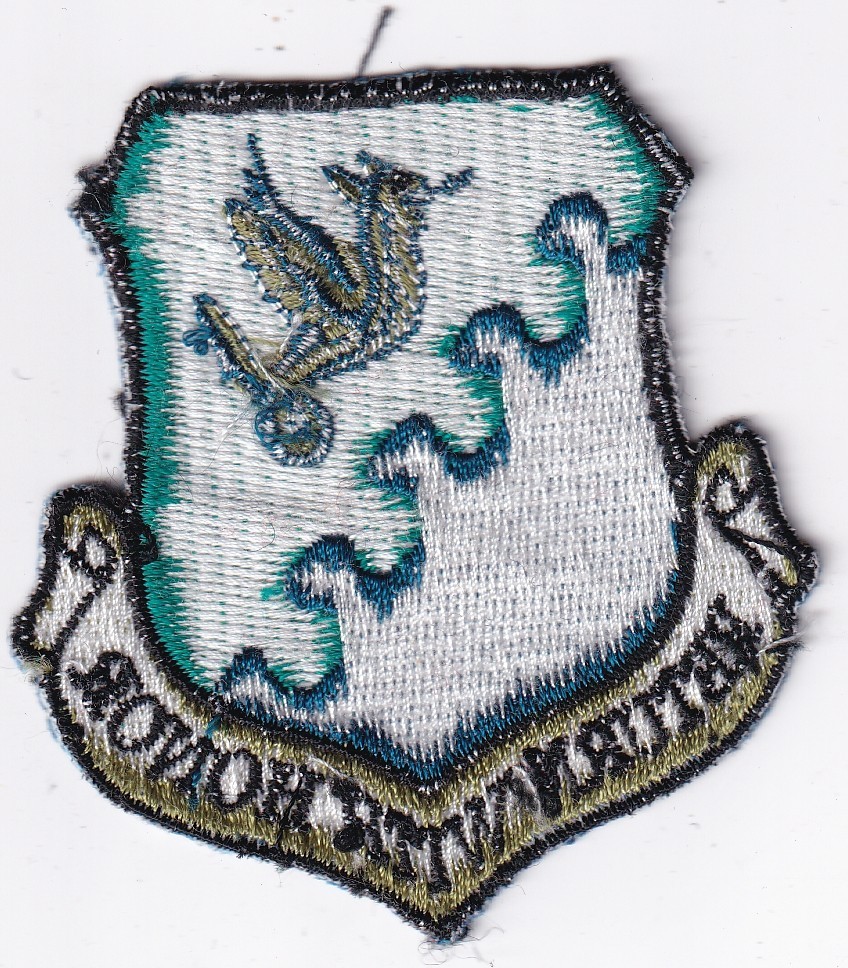 31st Fighter Wing patch muted old cut edge USAF US Air Force