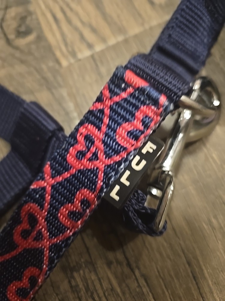 Heart Horse Halter