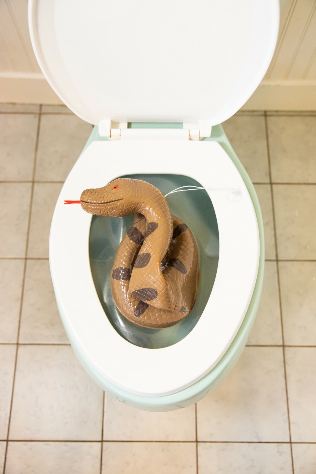 Snake Toilet Bowl Monster - Hisss-terically funny! Bathroom Scary Gag Prank Joke