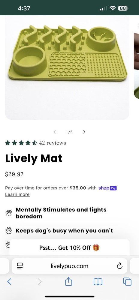 Lively Mat