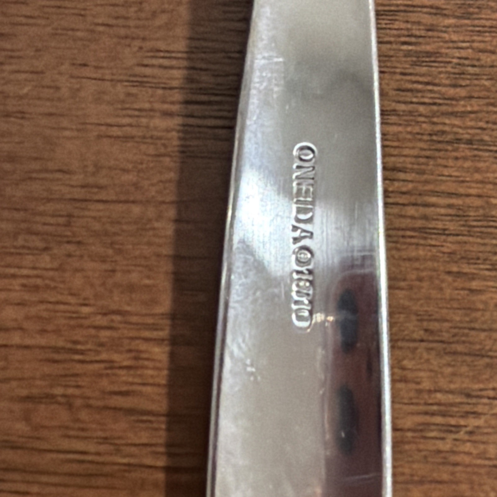 Rare ONEIDA Silver Serengeti (Stainless) 18/10 Slotted Serving Spoon. 2007.