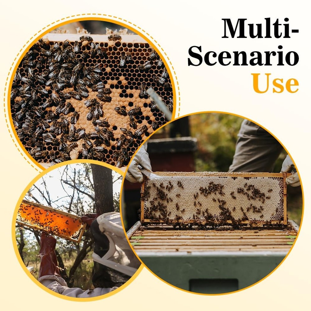 Deep Brood Bee Frames and Wax Foundations,10 Pack Honey Beehive Frames with B...