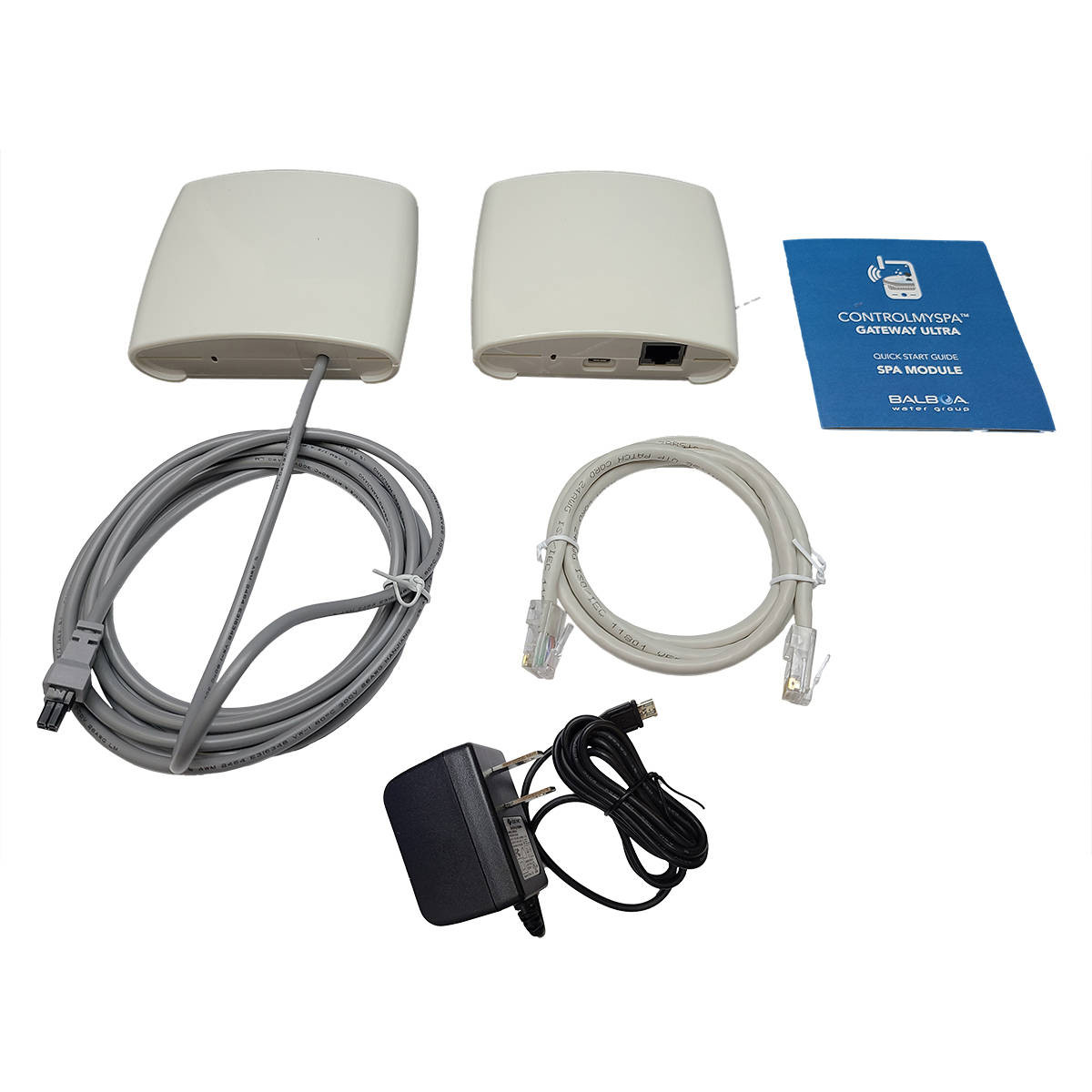 Balboa Water Group 59303 Ultra Gateway Module RF