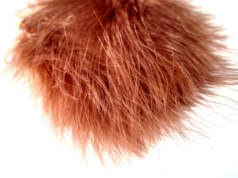 MARABOU BLOOD QUILLS - RUST - Fly Tying Feathers - Woolly Bugger - 12 pc - NEW!