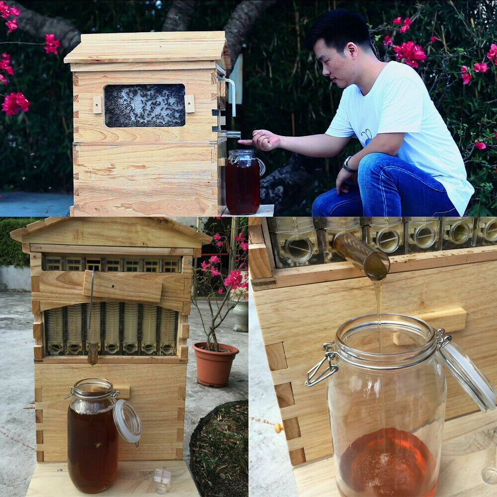 Golden Palace Auto 7PCS Beehive Honey Hive Frame +Cedarwood Beekeeping Brood Box