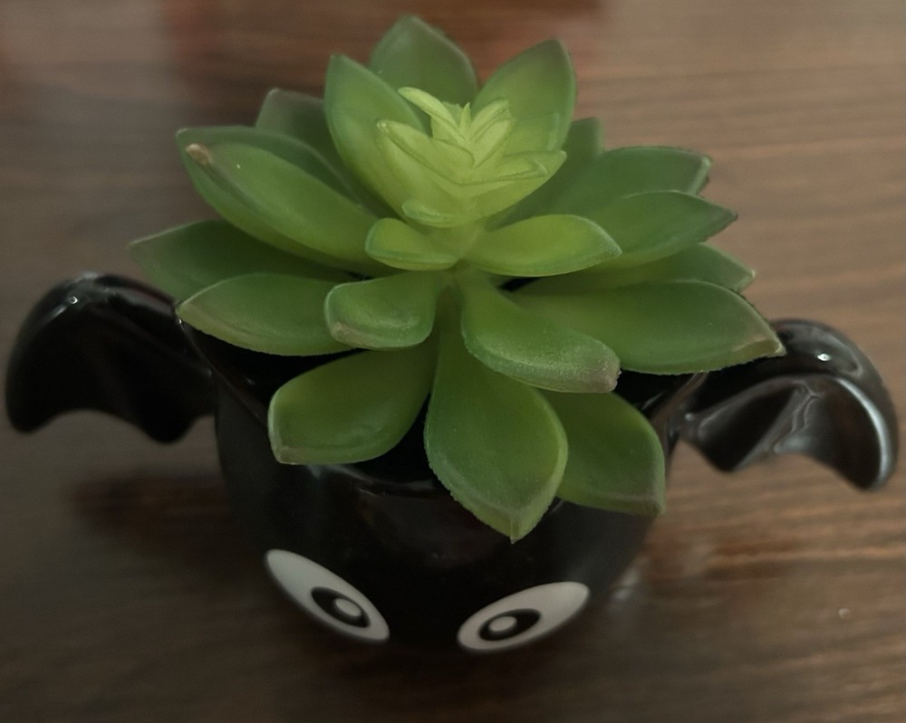 Cute Bat Succulent Planter