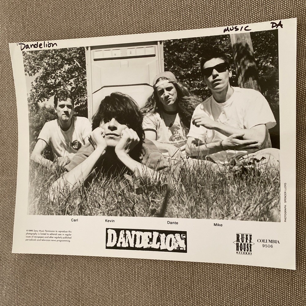 Dandelion Press Photo 8x10”. See Description.