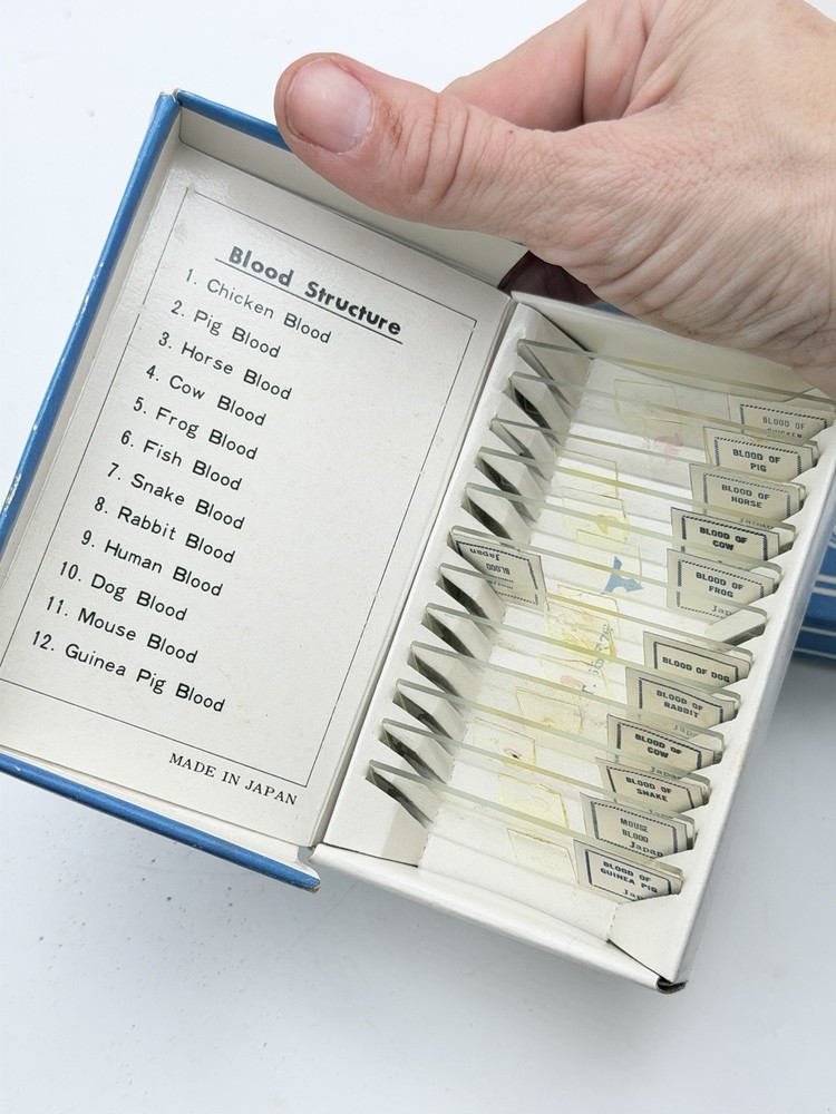 Vintage Gilbert Microscope w/ 3 Prepared Slide Sets Blood Bacteria Tiny Creature