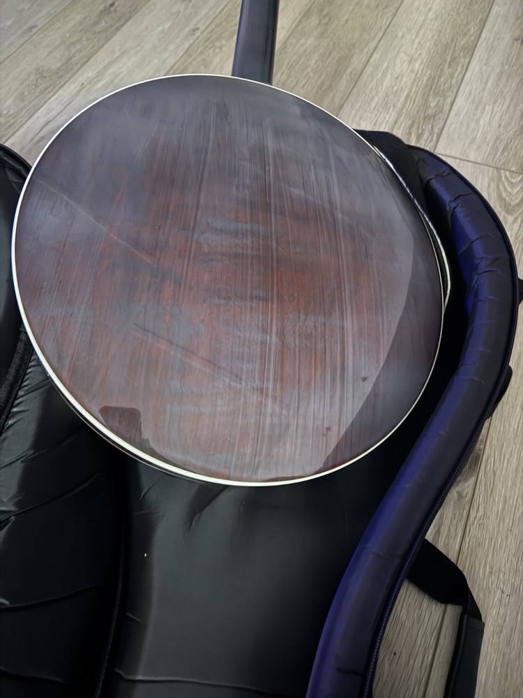 Deering Eagle II 5-String Resonator Banjo - 2014 w/professional setup