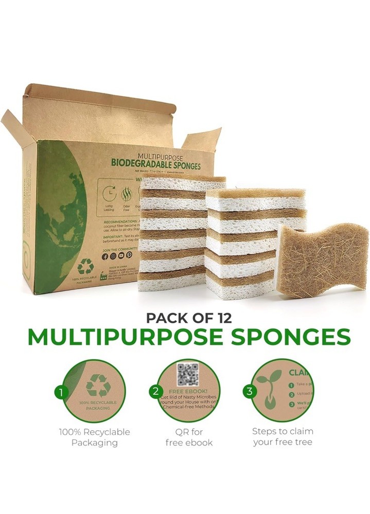 AIRNEX Natural Kitchen Sponge - Biodegradable Compostable 12 pack