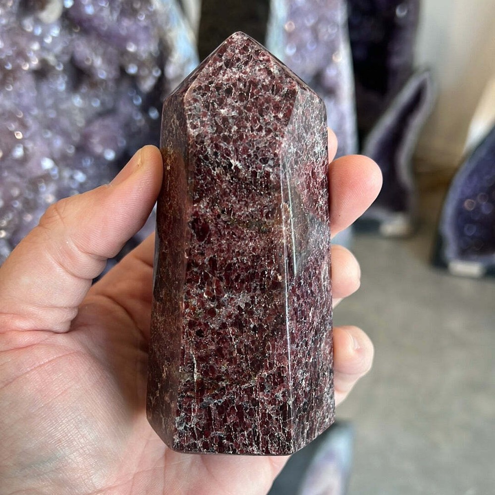 Garnet Tower F