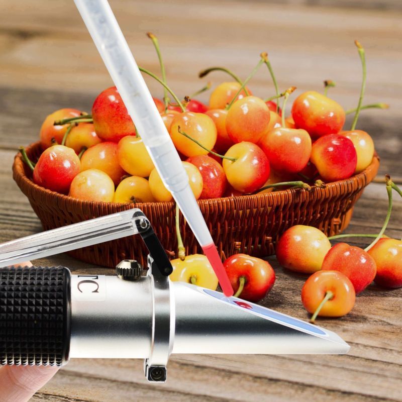 0-32% Brix Scale Fruit Juice Wine Sugar Homebrew Refractometer Tester