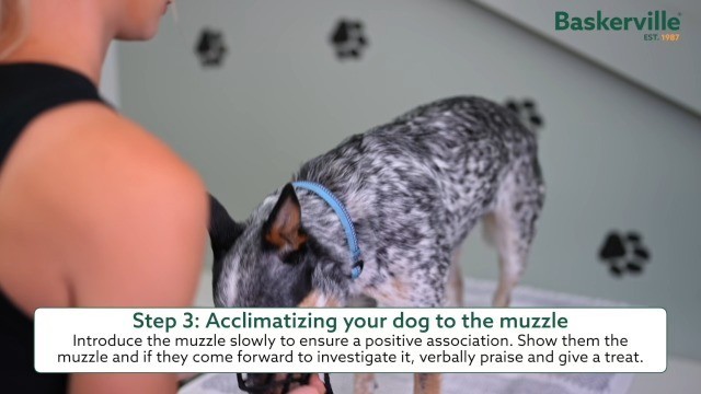 Humane Adjustable Dog Muzzle - Breathable, Padded, Prevents Biting & Scavenging,