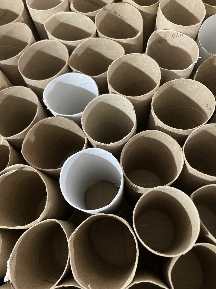 Toilet Paper Rolls Tubes Clean Empty Assorted 80 Crafts Projects Great Project!!