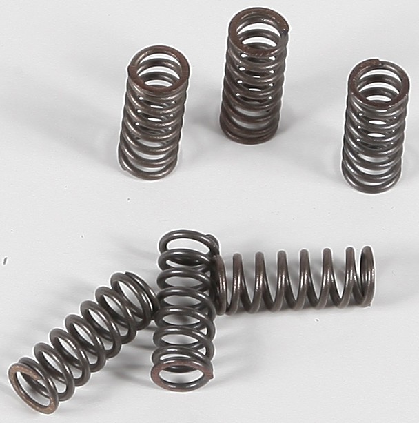 EBC CSK Clutch Spring Kit CSK39