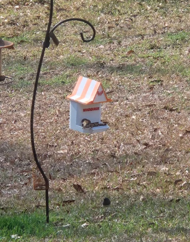 Whataburger Bird Feeder