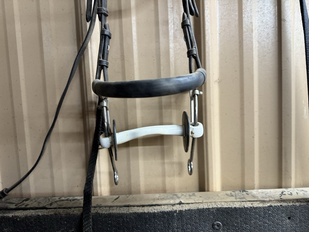 Trust Equestrian Combination Bit 5.5”