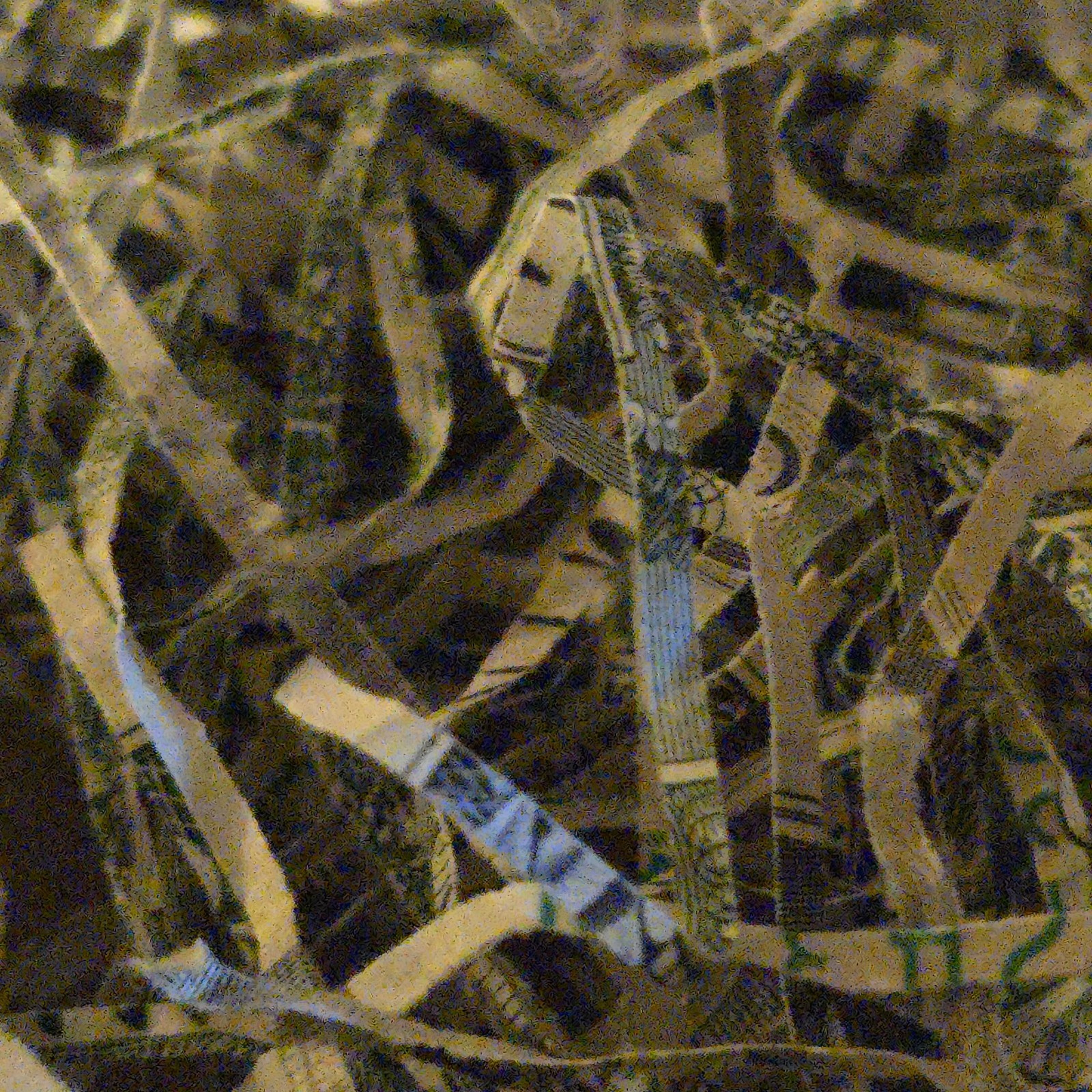 Beautiful 25 Mesh Natural Gold Nuggets (5 Piece Lot) In Unique Gift Box