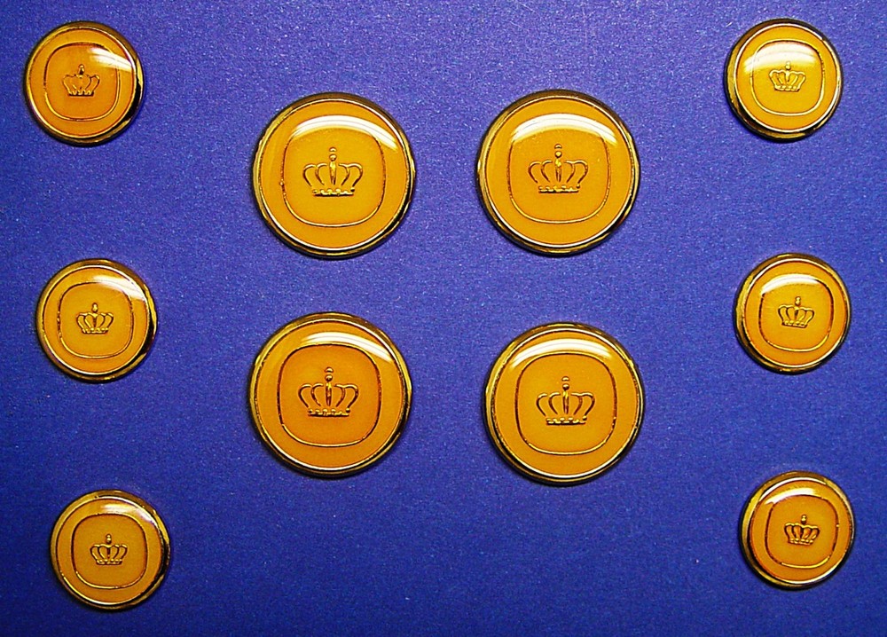 DIMITRI REPLACEMENT BUTTONS 10 Acrylic face enamel effect signature button SHARP